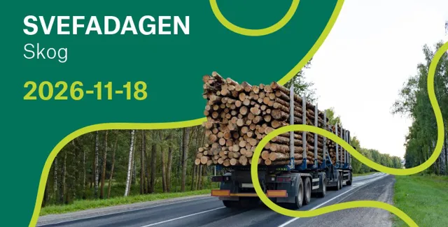 Header hemsidan.jpg.